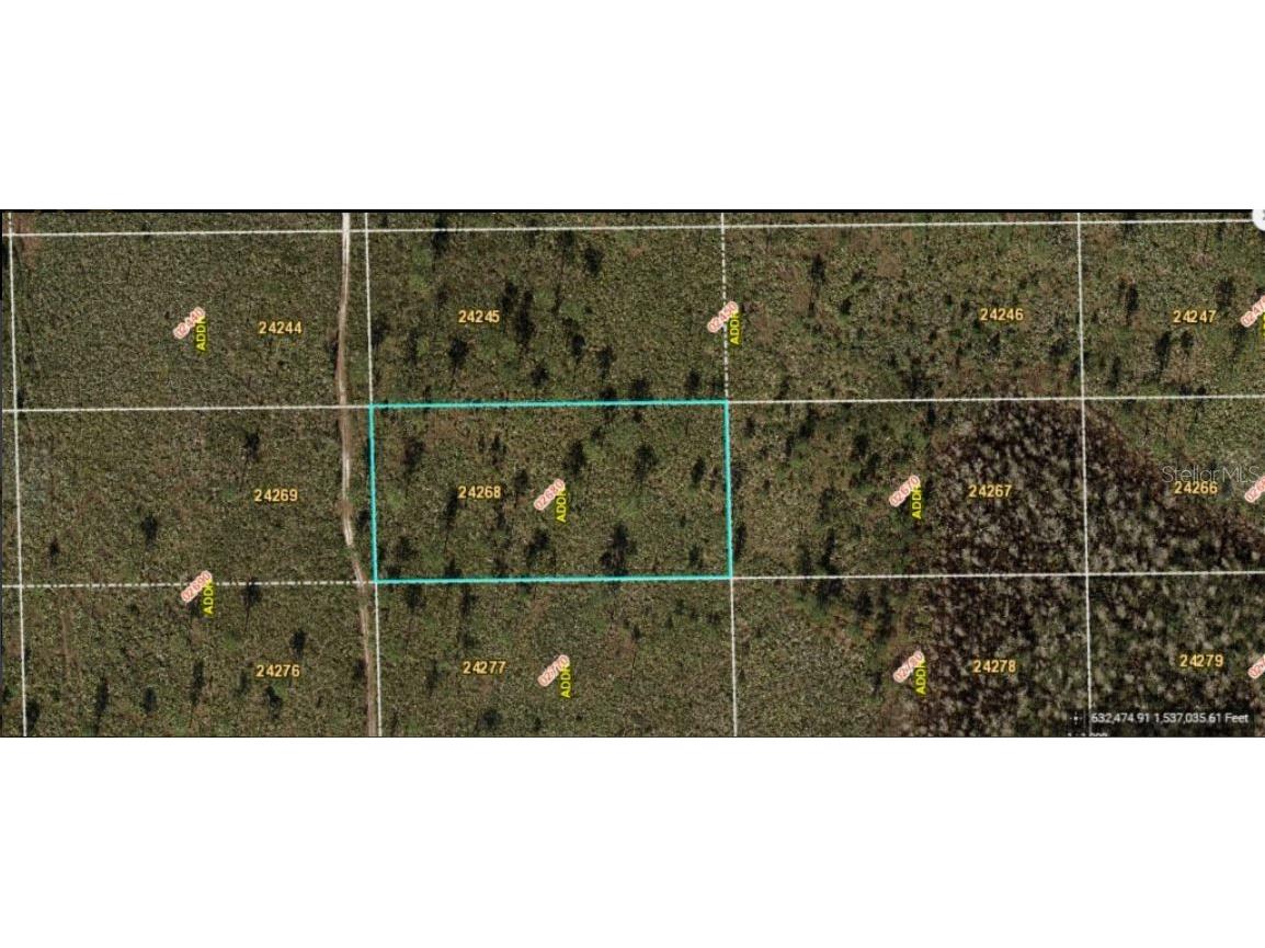 Dill Road Orlando FL 32820 O6234602 image2