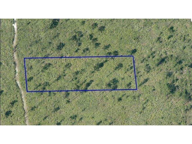 Dill Road Orlando FL 32820 O6234602 image4