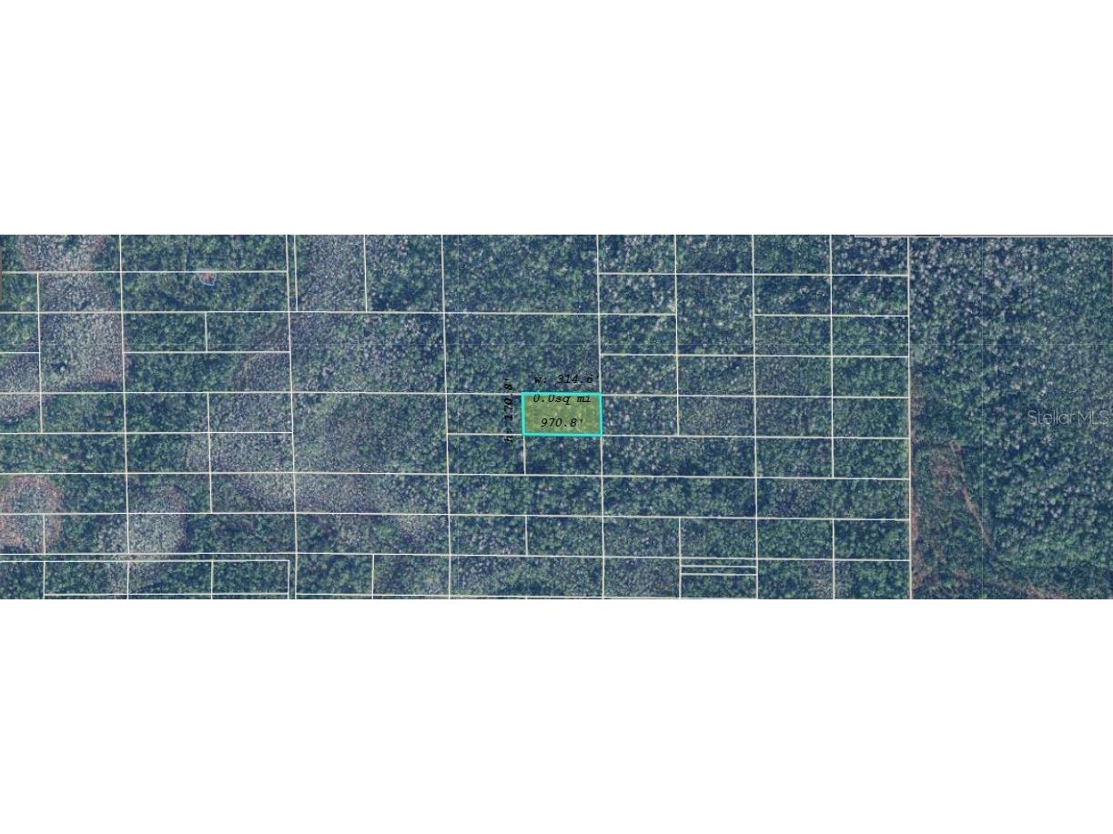 Dill Road Orlando FL 32820 O6234999 image2