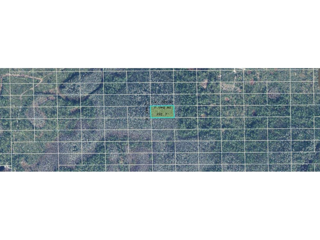 Dill Road Orlando FL 32820 O6235703 image2