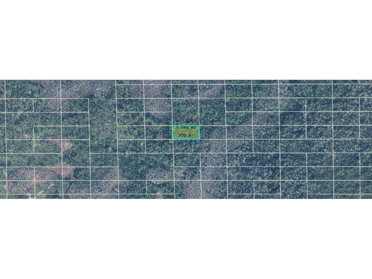 Dill Road Orlando FL 32820 O6240167 image2