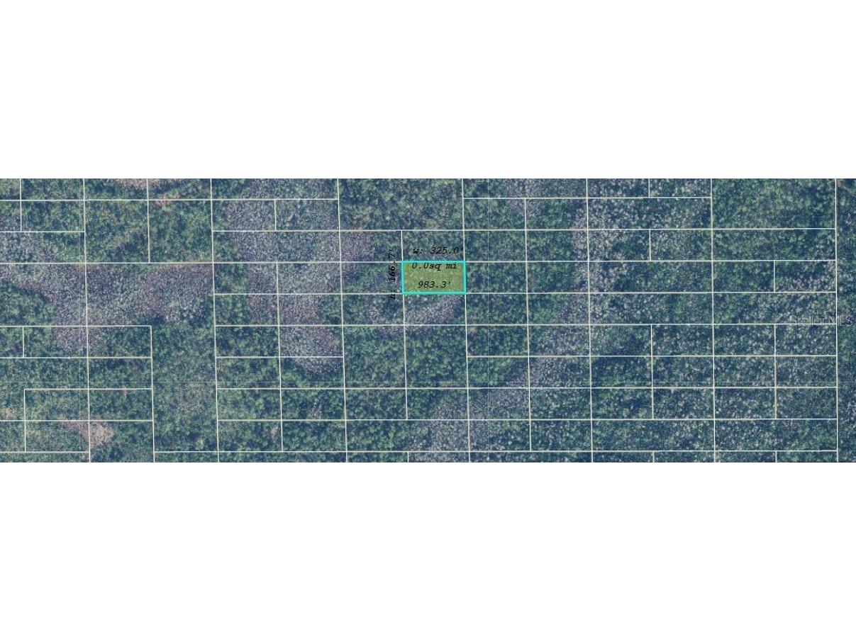 Dill Road Orlando FL 32820 O6240169 image2