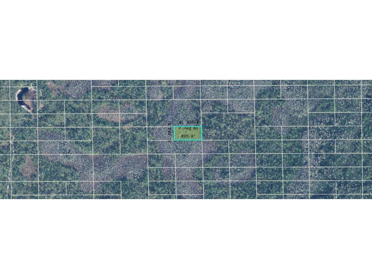 Dill Road Orlando FL 32820 O6240560 image2