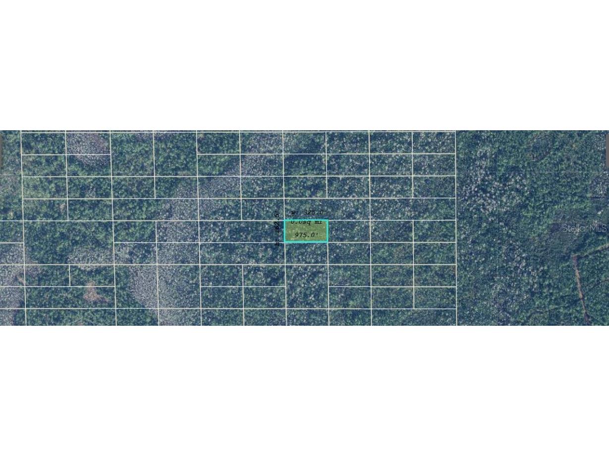 Dill Road Orlando FL 32820 O6240564 image2