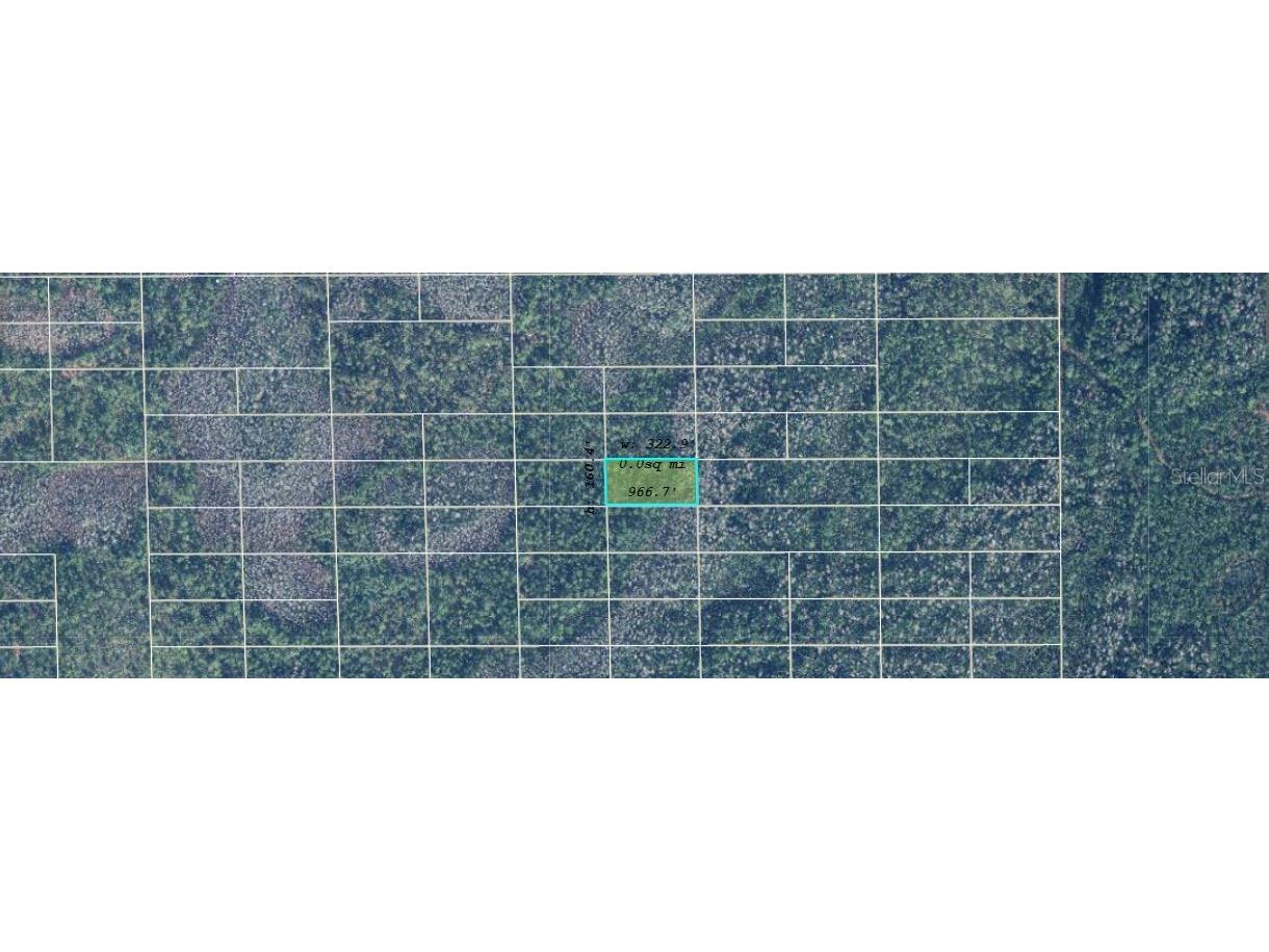 Dill Road Orlando FL 32820 O6240566 image2