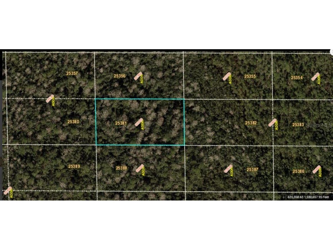 Dill Road Orlando FL 32820 O6240574 image2