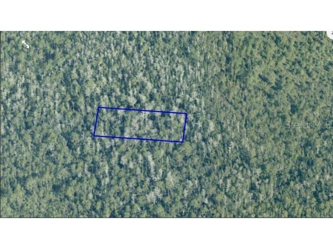 Dill Road Orlando FL 32820 O6240574 image3