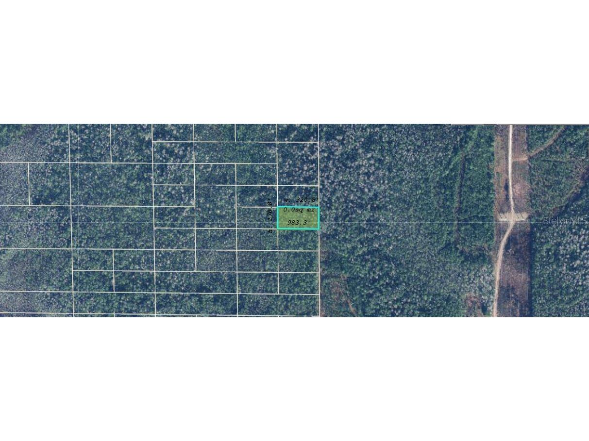 Dill Road Orlando FL 32820 O6240576 image2