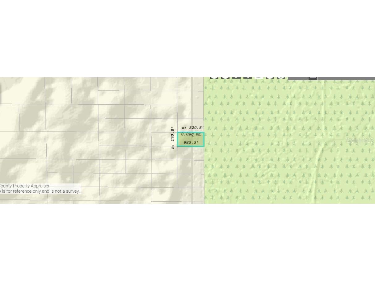 Dill Road Orlando FL 32820 O6240576 image3