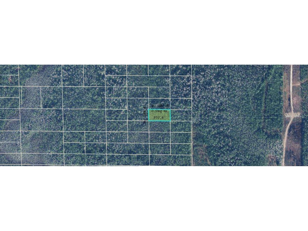 Dill Road Orlando FL 32820 O6240579 image2