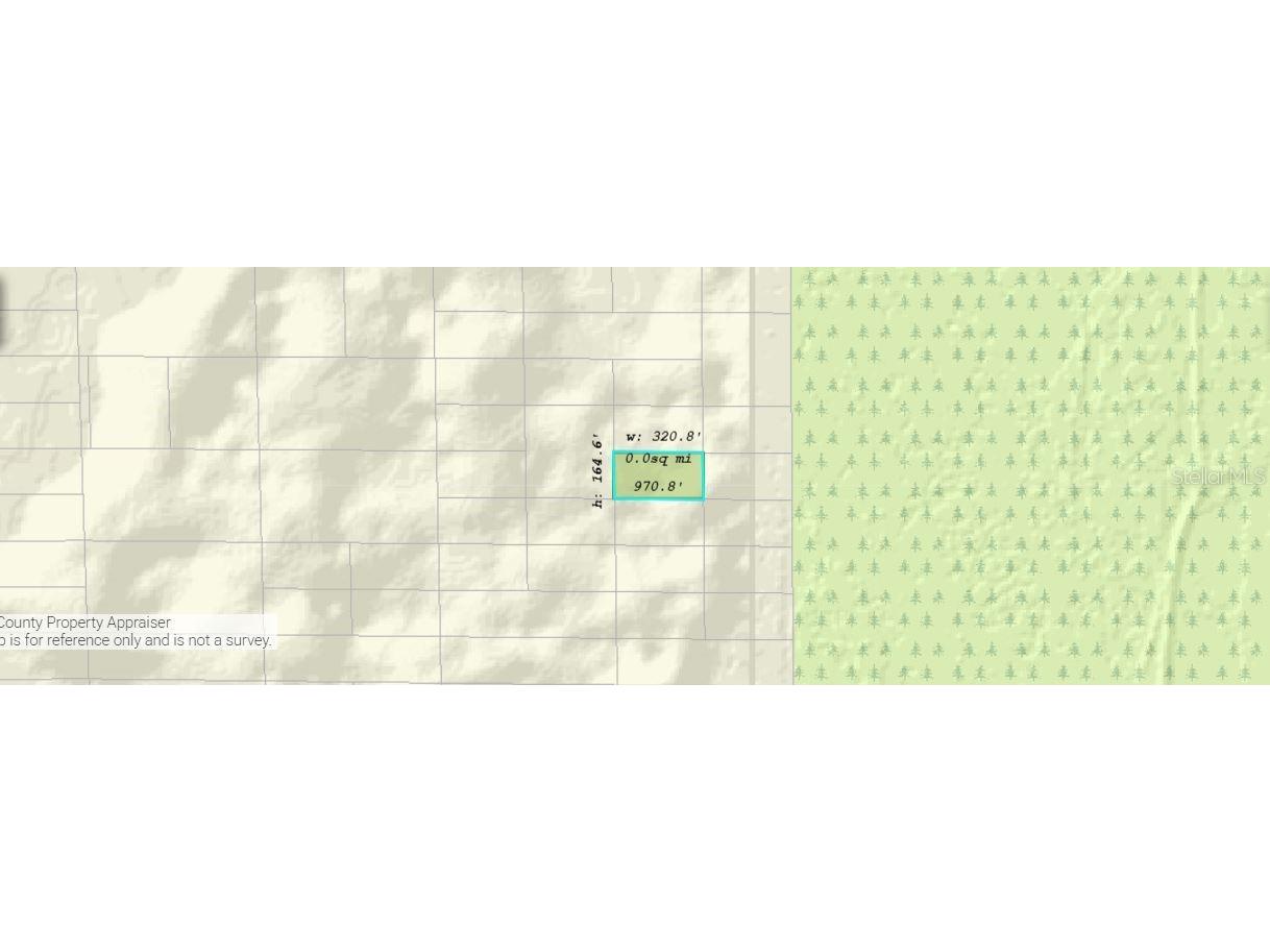 Dill Road Orlando FL 32820 O6240579 image3