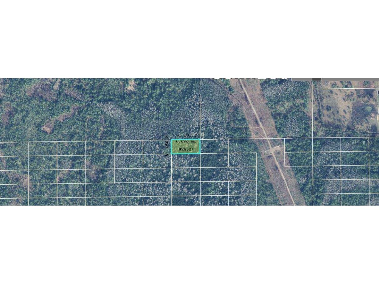 Dill Road Orlando FL 32820 O6244641 image2