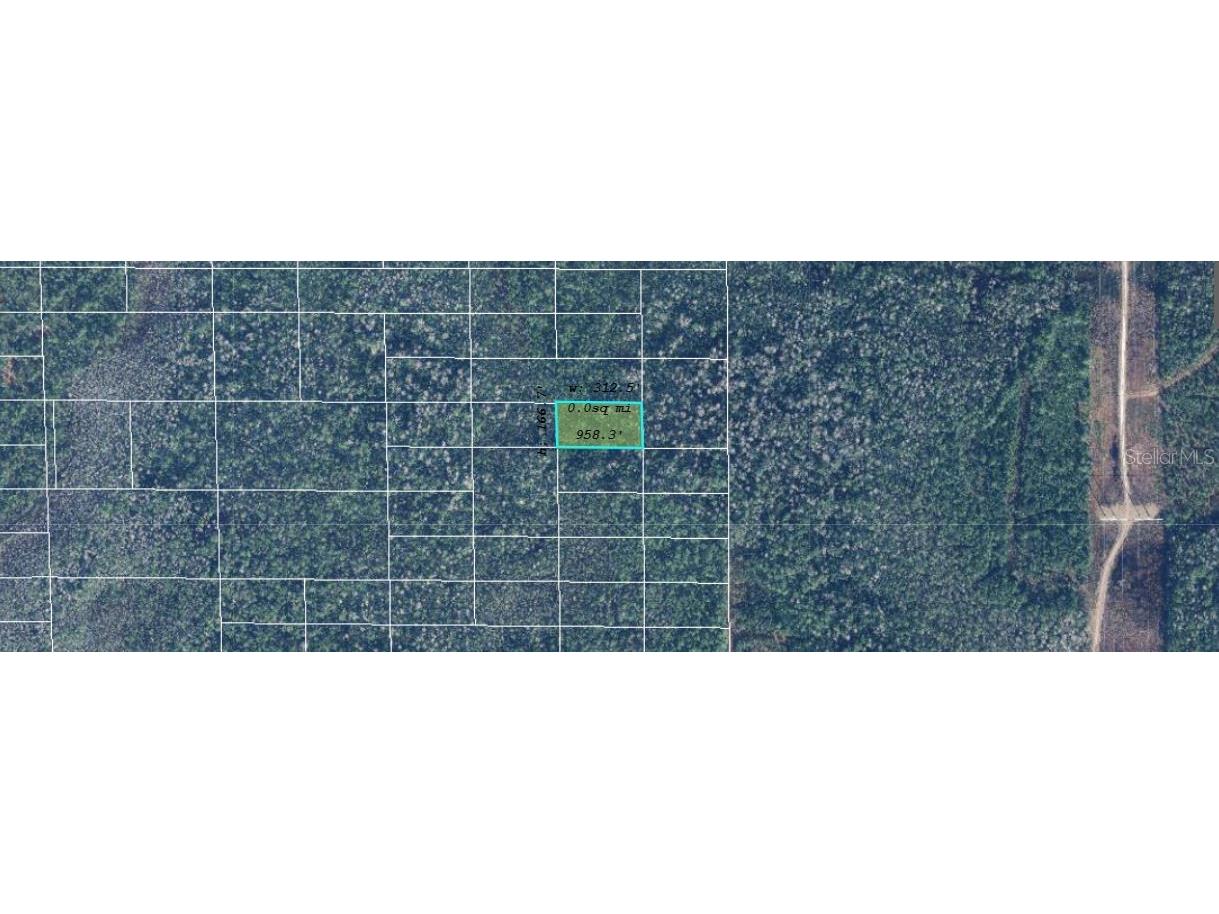 Dill Road Orlando FL 32820 O6244644 image2