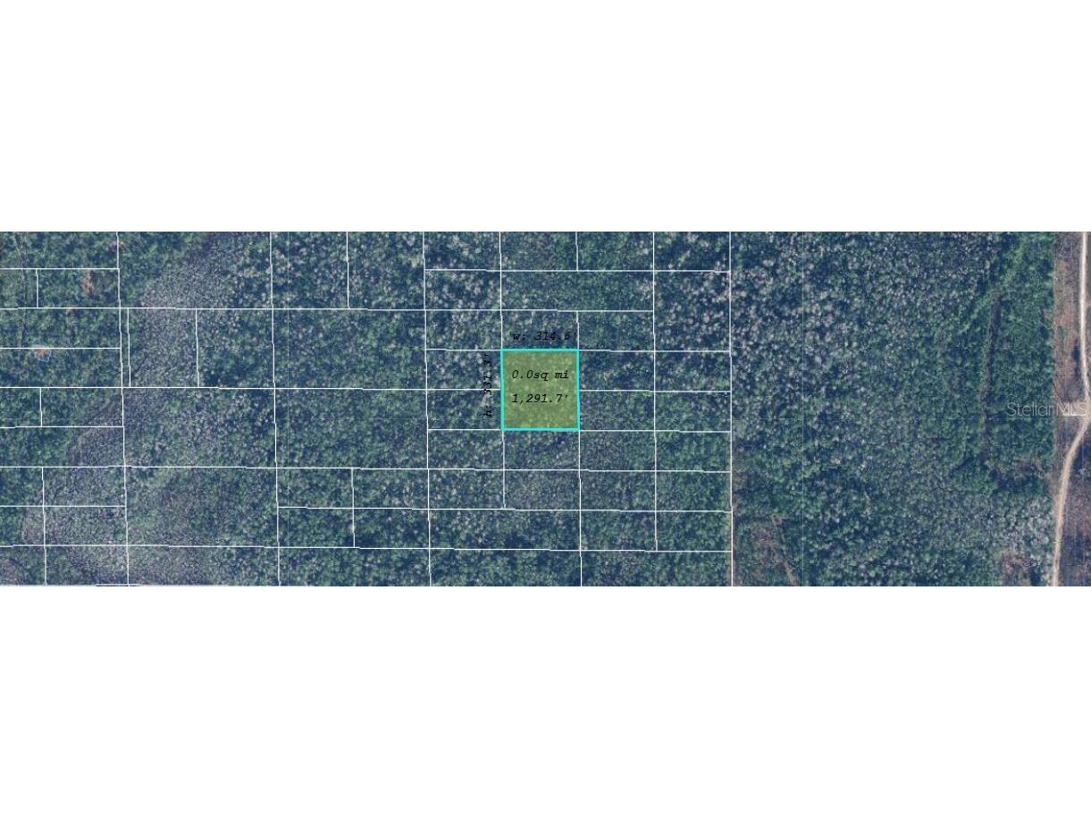 Dill Road Orlando FL 32820 O6244648 image2