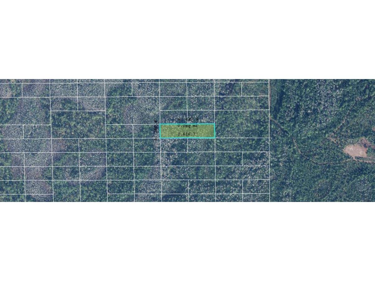 Dill Road Orlando FL 32820 O6244652 image2