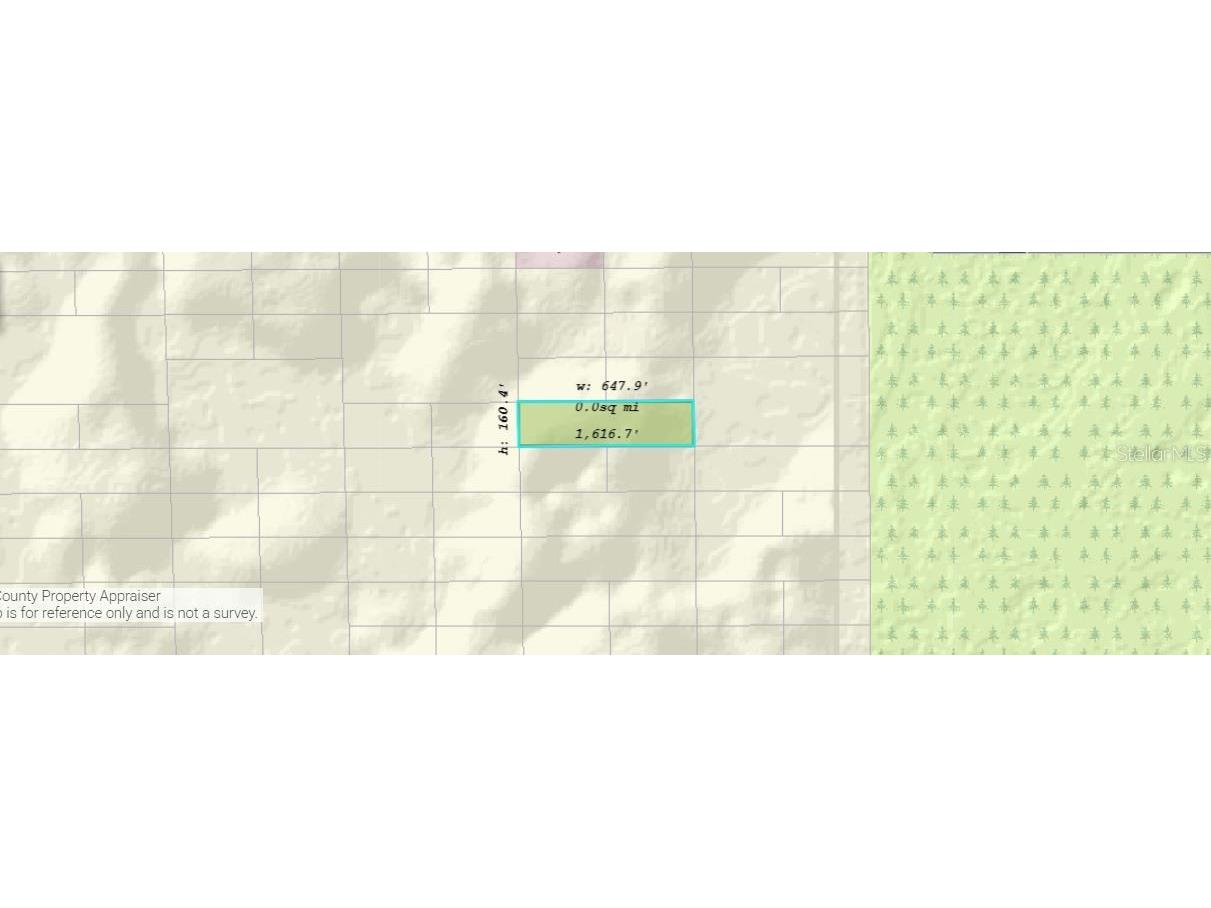 Dill Road Orlando FL 32820 O6244652 image3