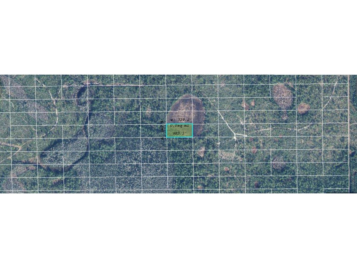 Dill Road Orlando FL 32820 O6244663 image2