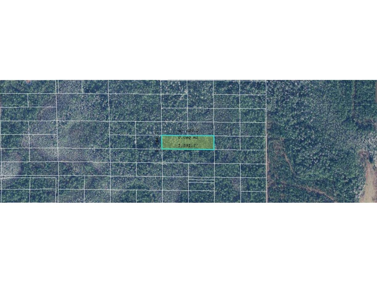 Dill Road Orlando FL 32820 O6244977 image2