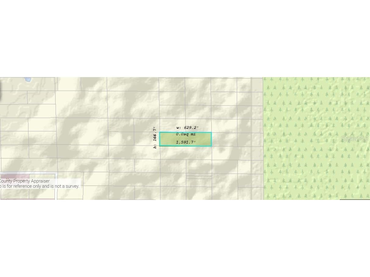 Dill Road Orlando FL 32820 O6244977 image3