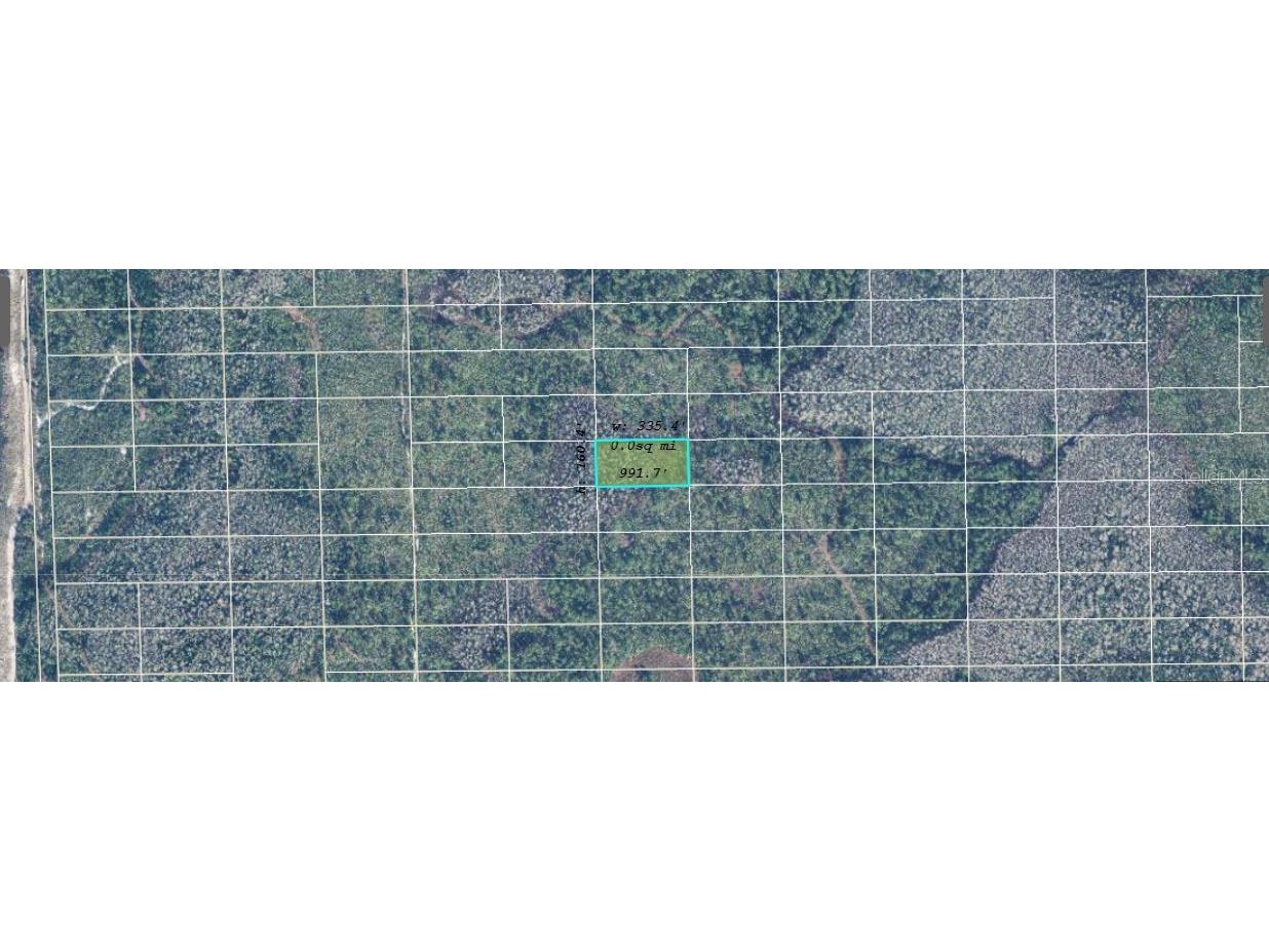 Dill Road Orlando FL 32820 O6244982 image2