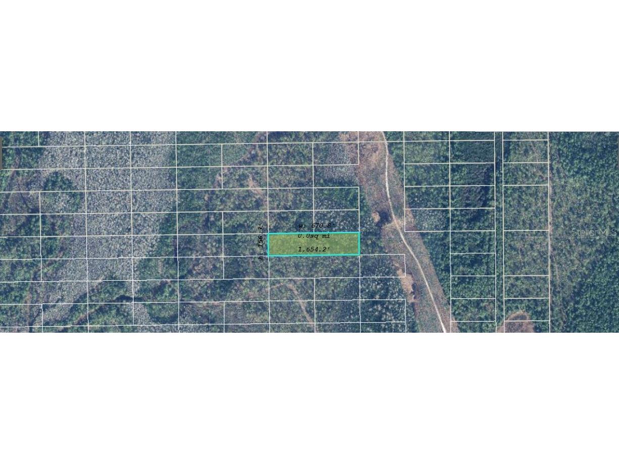 Dill Road Orlando FL 32820 O6244985 image2