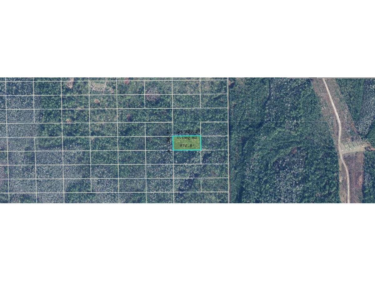 Dill Road Orlando FL 32820 O6245317 image2