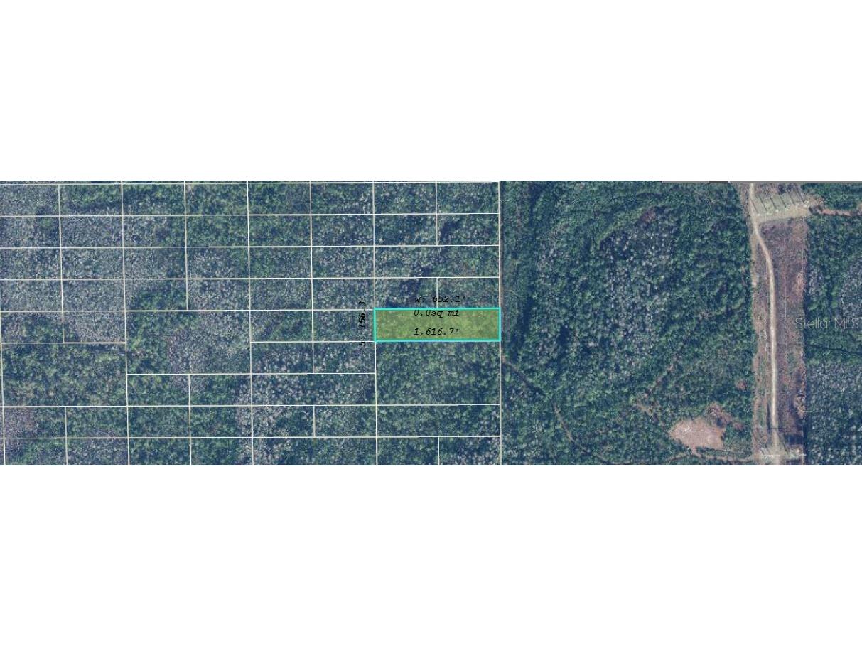 Dill Road Orlando FL 32820 O6245318 image2