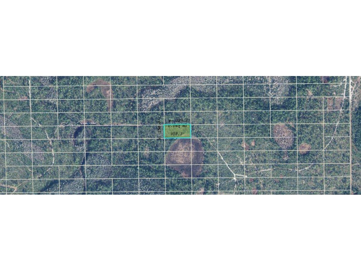 Dill Road Orlando FL 32820 O6245326 image2