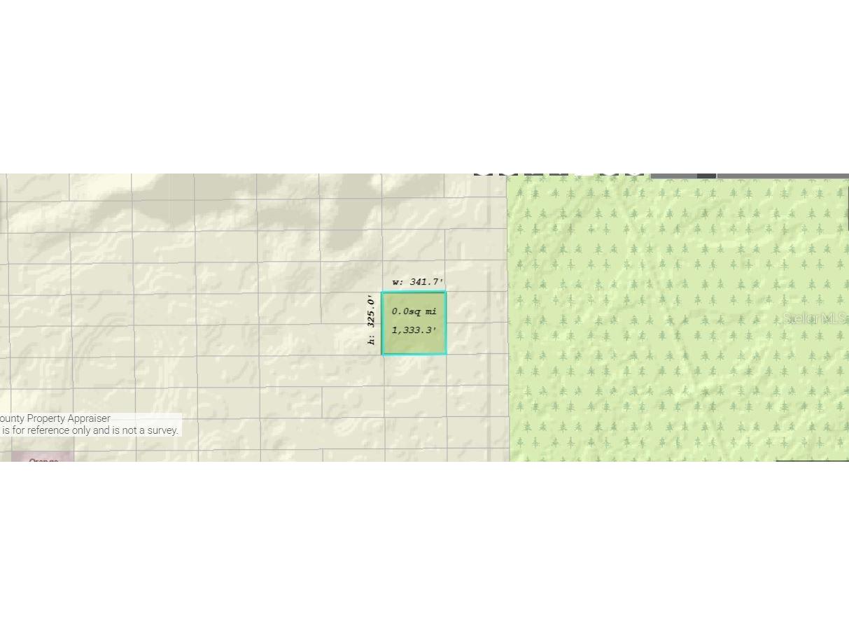 Dill Road Orlando FL 32820 O6245327 image3