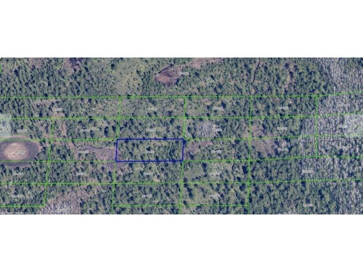 Dill Road Orlando FL 32820 O6247900 image2