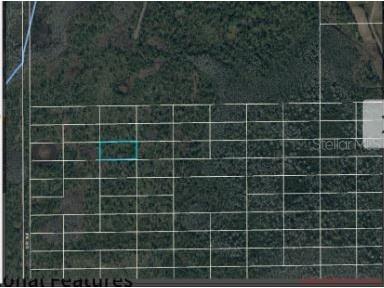 Dill Road Orlando FL 32820 O6247900 image5