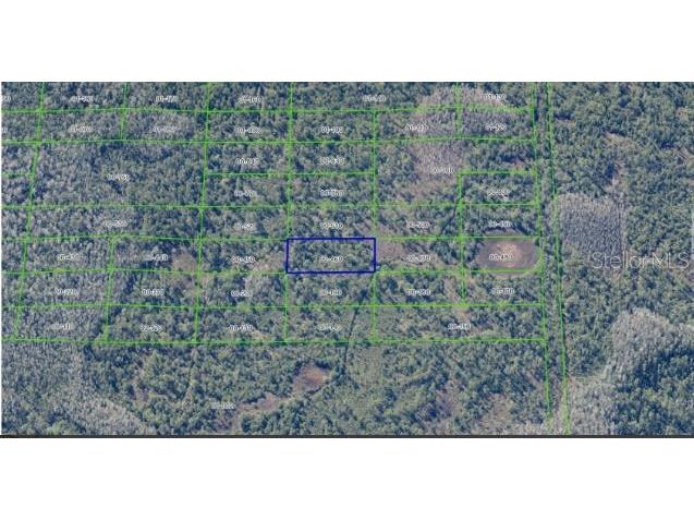 Dill Road Orlando FL 32820 O6247900 image6