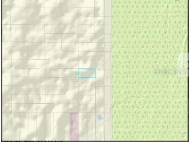 Dill Road Orlando FL 32820 O6247907 image2