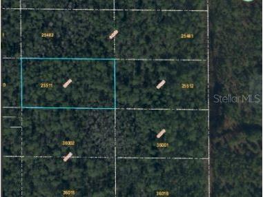 Dill Road Orlando FL 32820 O6247907 image4