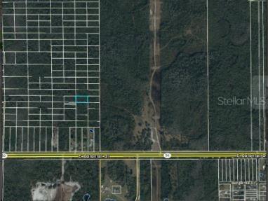 Dill Road Orlando FL 32820 O6247907 image5