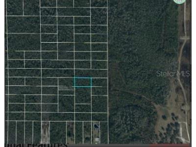 Dill Road Orlando FL 32820 O6247907 image6