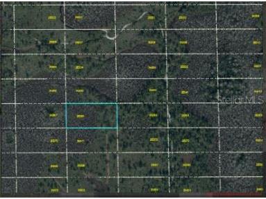 Dill Road Orlando FL 32820 O6247909 image4