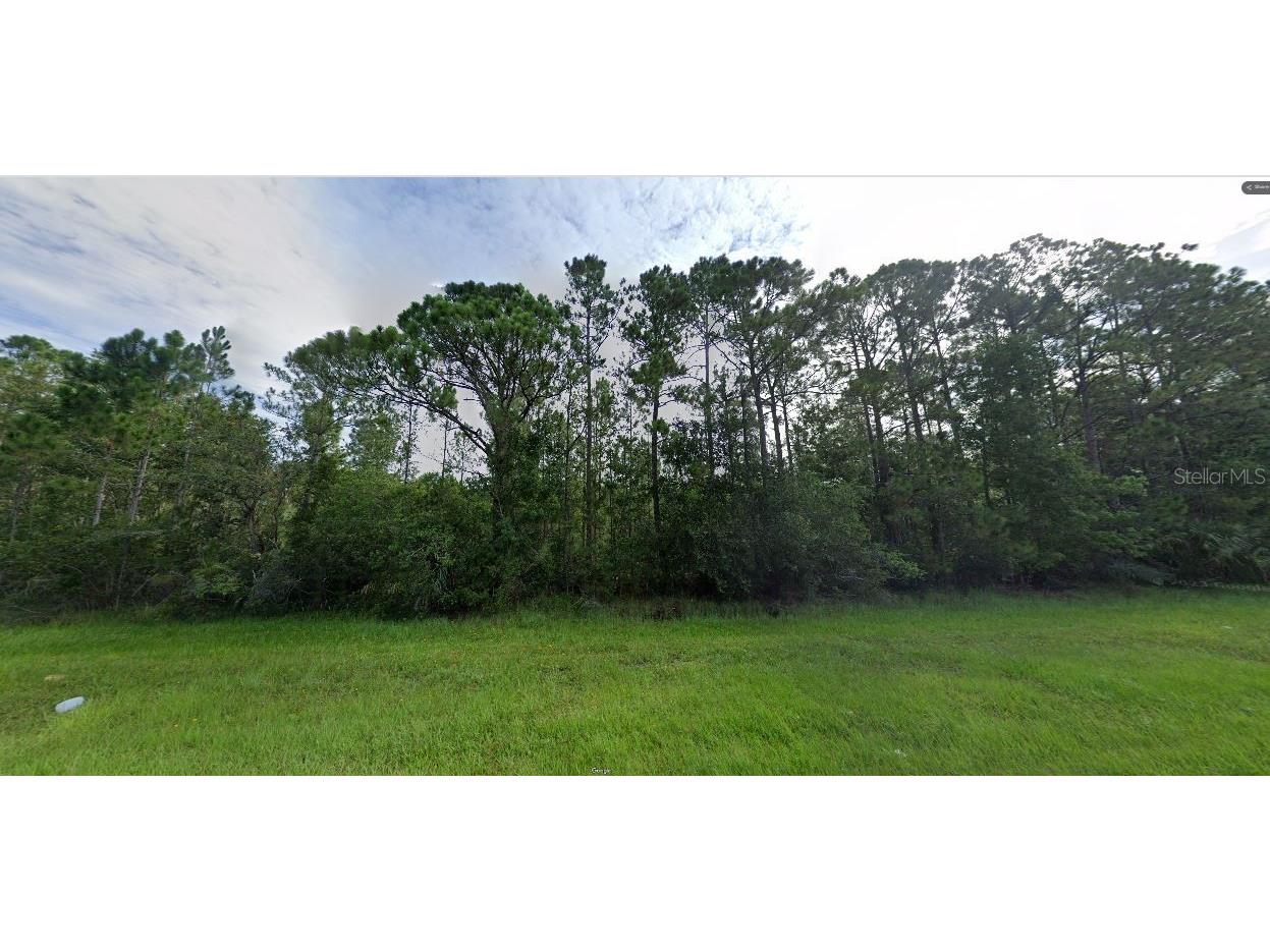 Dill Road Orlando FL 32820 O6248781 image2