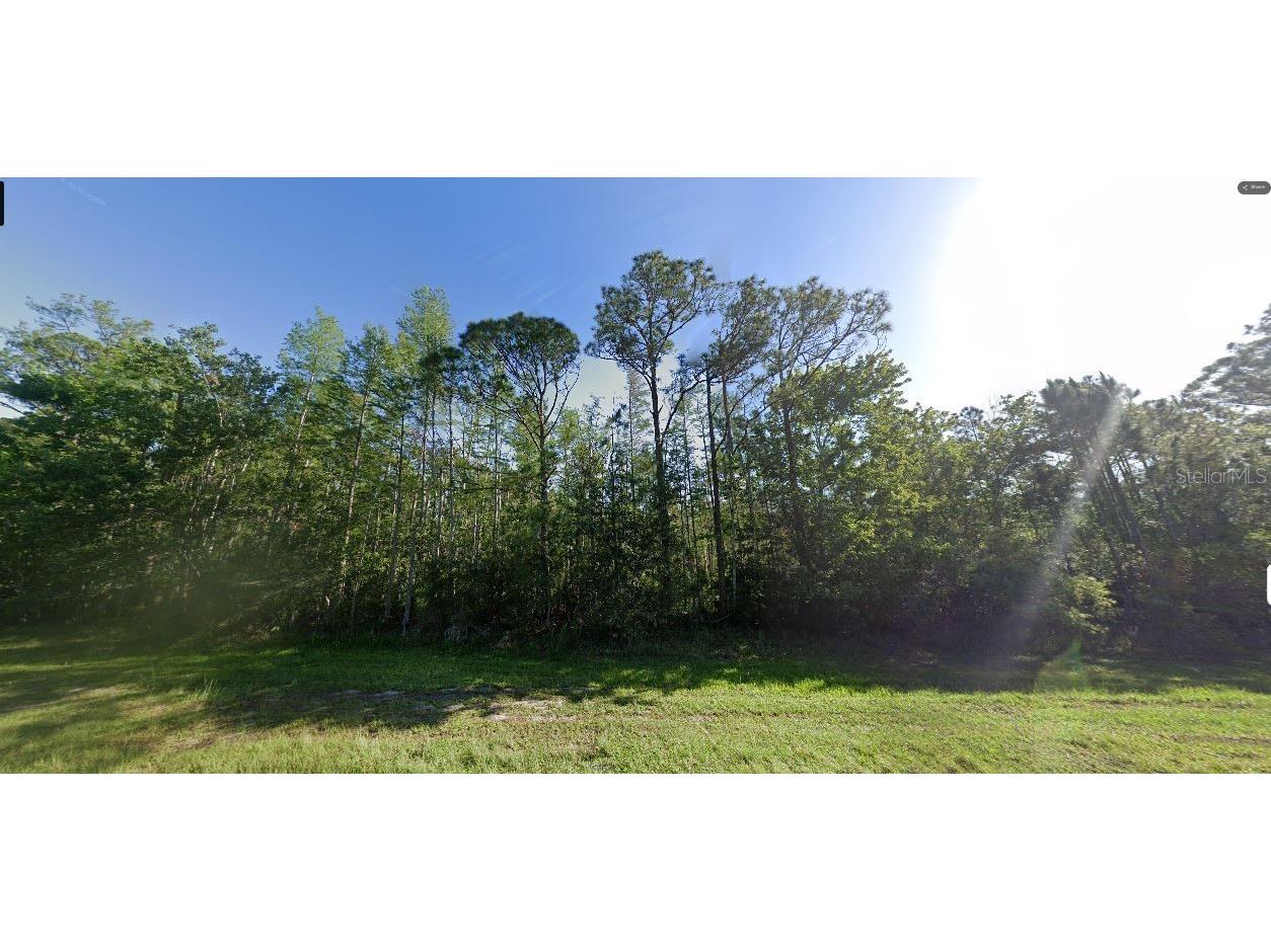 Dill Road Orlando FL 32820 O6248783 image2