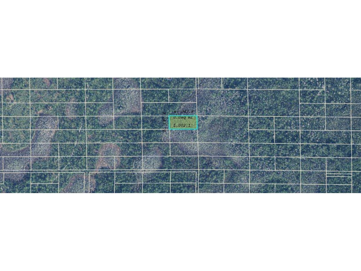 Dill Road Orlando FL 32820 O6248787 image2