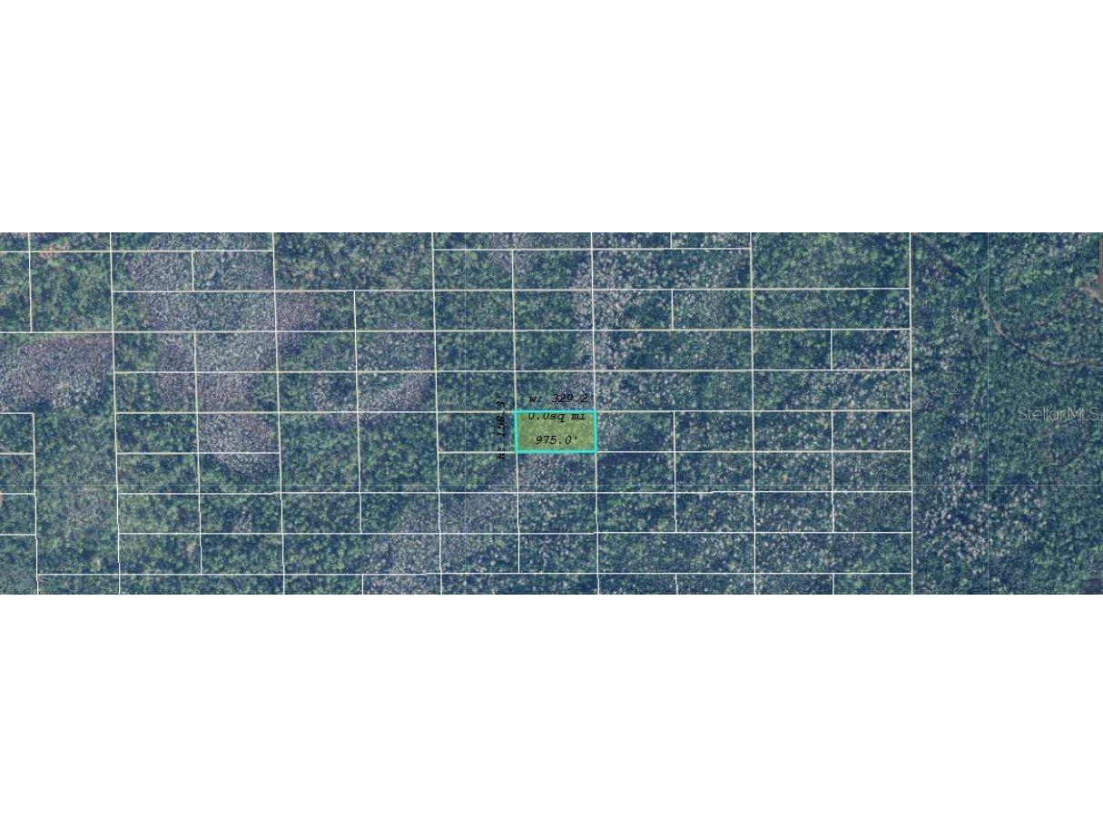 Dill Road Orlando FL 32820 O6249650 image2