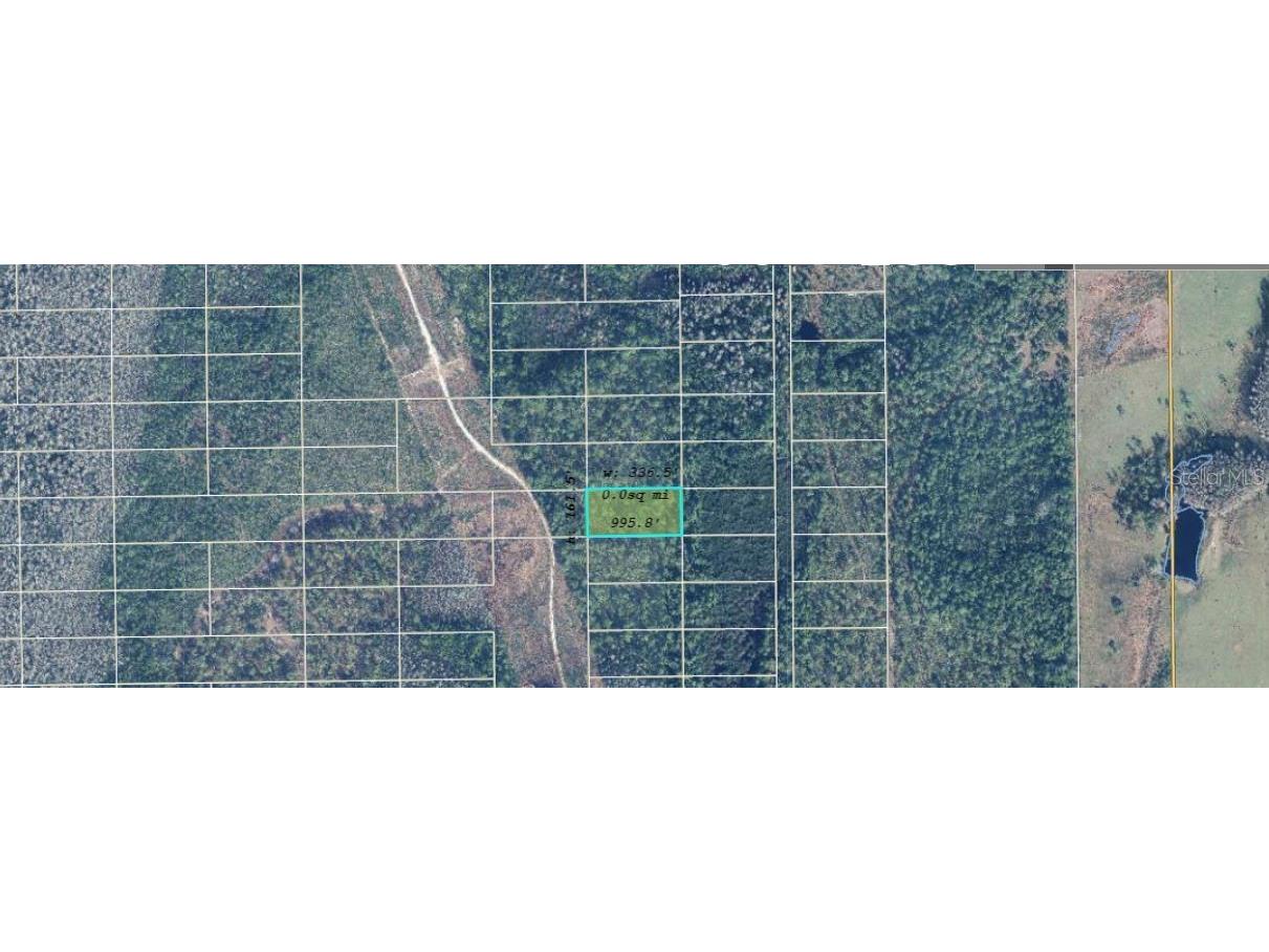 Dill Road Orlando FL 32820 O6271692 image3