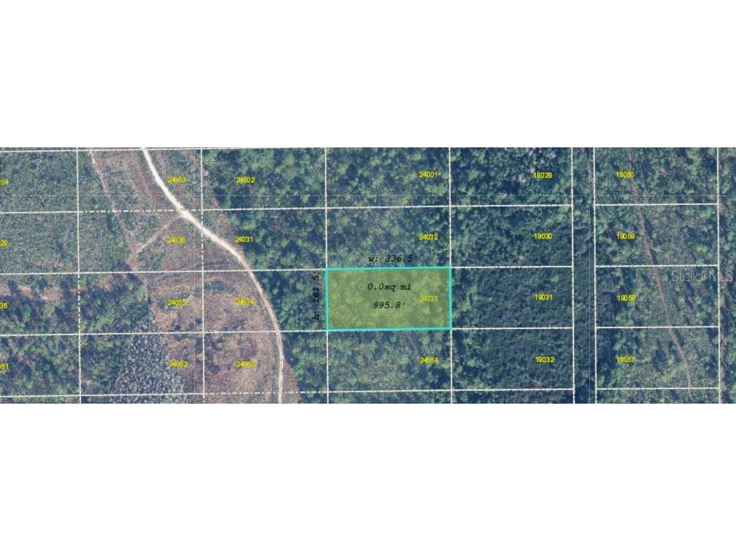 Dill Road Orlando FL 32820 O6271692 image4