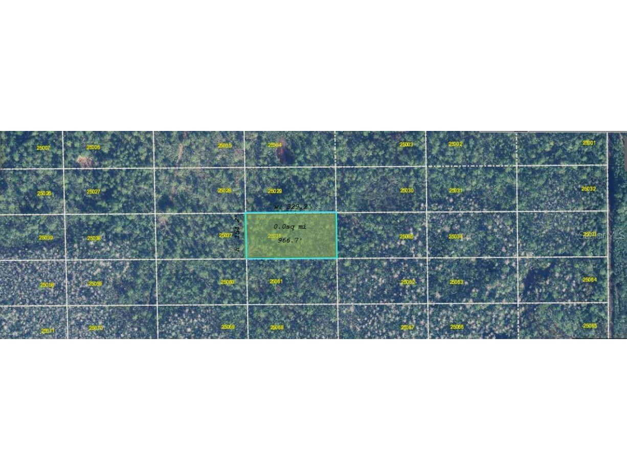 Dill Road Orlando FL 32820 O6271698 image4