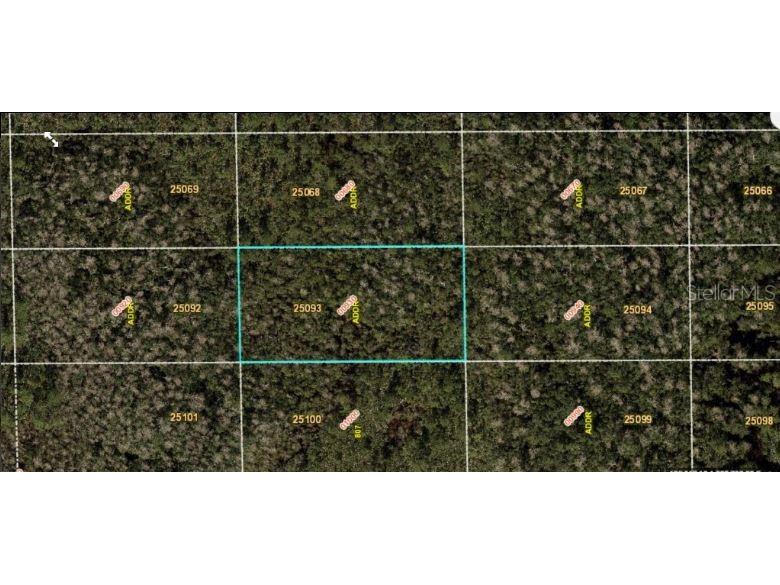 Dill Road Orlando FL 32820 O6271699 image2