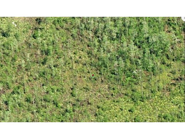 Dill Road Orlando FL 32820 O6271699 image3