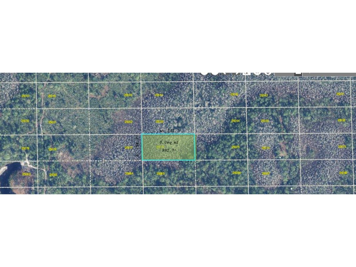 Dill Road Orlando FL 32820 O6271701 image4