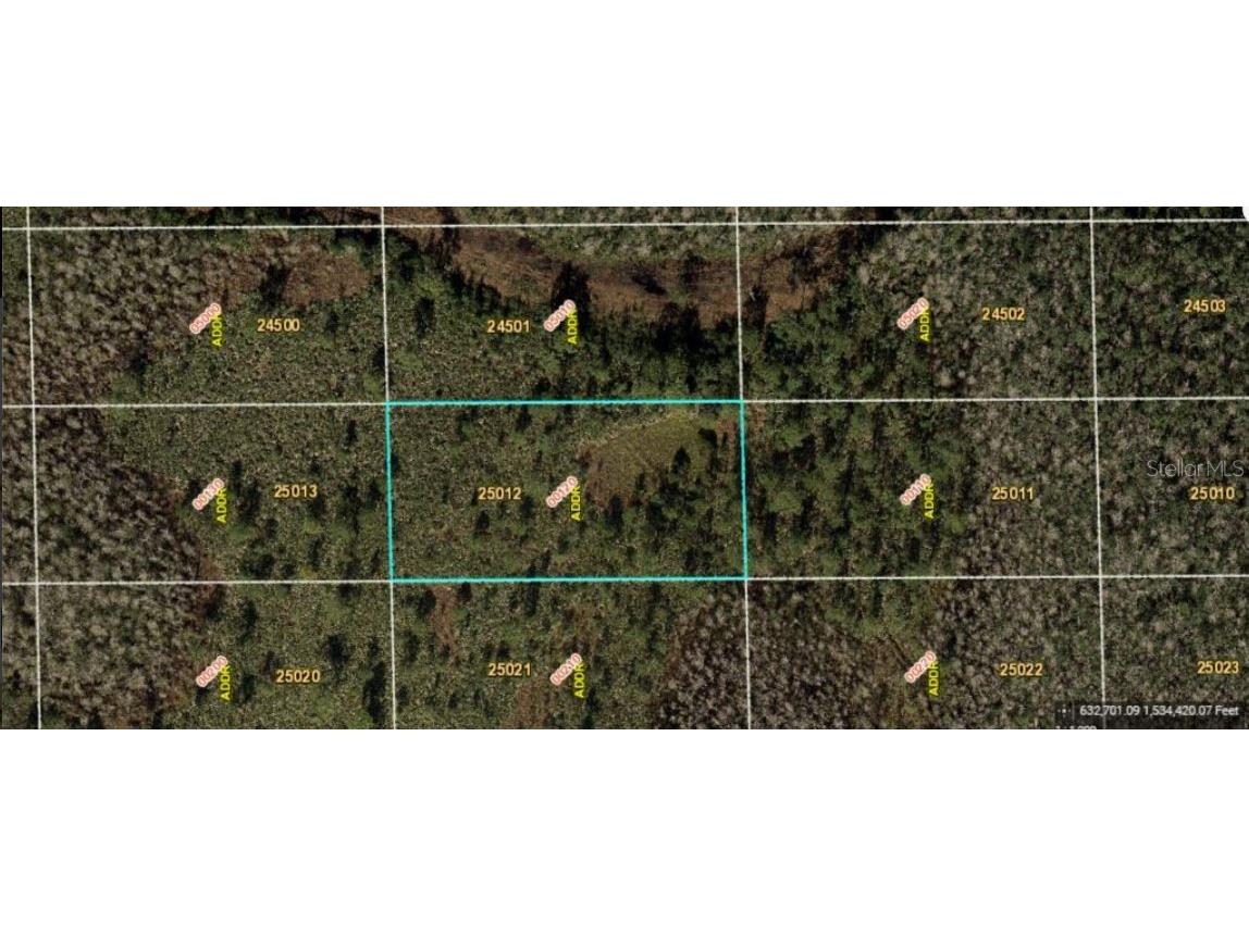 Dill Road Orlando FL 32820 O6271702 image2