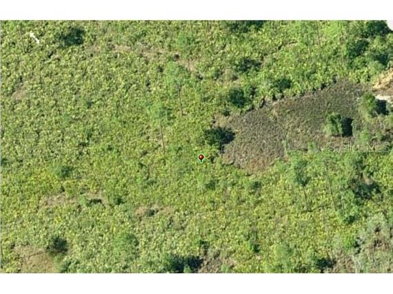 Dill Road Orlando FL 32820 O6271702 image3