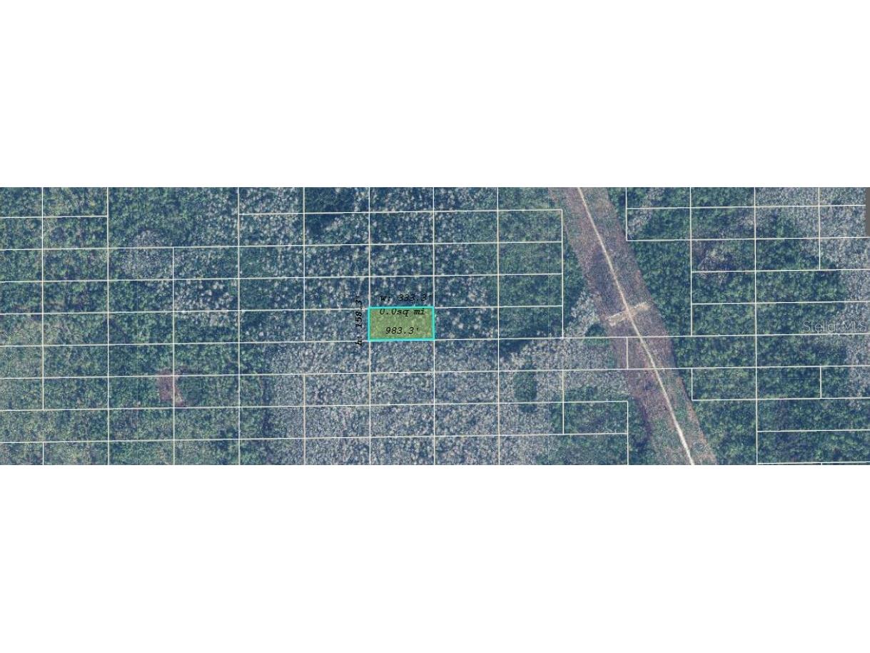 Dill Road Orlando FL 32820 O6271703 image3